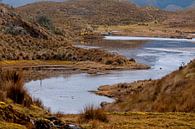 Ecuador: El Cajas National Park (Azuay) van Maarten Verhees thumbnail