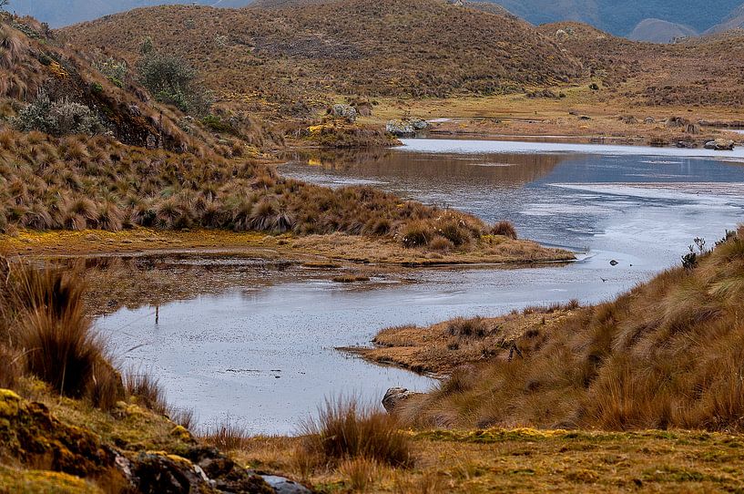 Ecuador: El Cajas National Park (Azuay) van Maarten Verhees