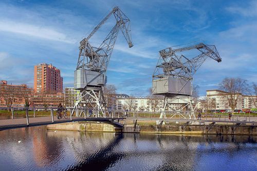 Grues Presqu'île Malraux Strasbourg