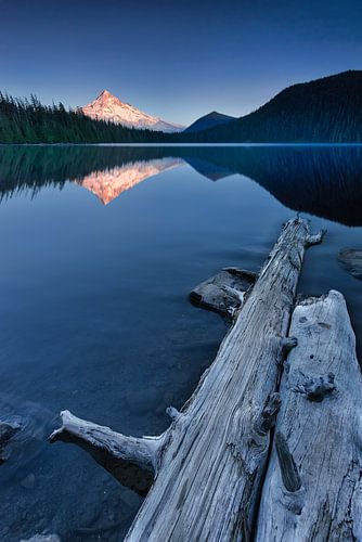 De stralende berg Mount Hood in Oregon USA bij Mirror Lake.