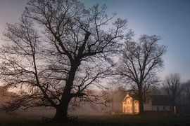 Lichtenbeek von Bram de Jong