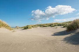 Sporen in het strand von Tonko Oosterink