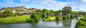 Stadtlandschaft von Carcassonne in Südfrankreich