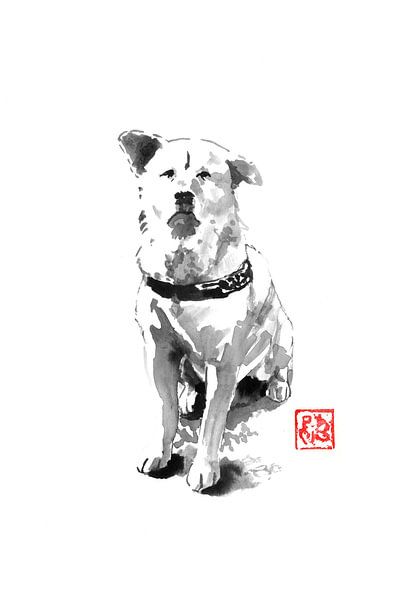 old dog by Péchane Sumie