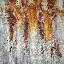 Primal ground - Decay and stillness by Hans Kwaspen thumbnail
