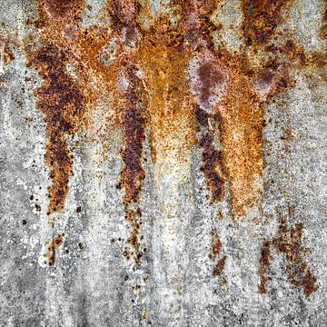 Primal ground - Decay and stillness