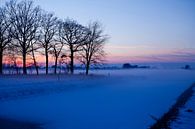 Winterlandschap met zonsondergang van Liesbeth van Asseldonk thumbnail