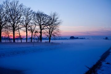 Winterlandschap met zonsondergang von Liesbeth van Asseldonk