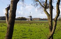 Holländische Windmühle von Judith van Bilsen Miniaturansicht