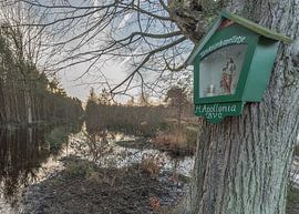 Averbode sur Pieter van der Zweep