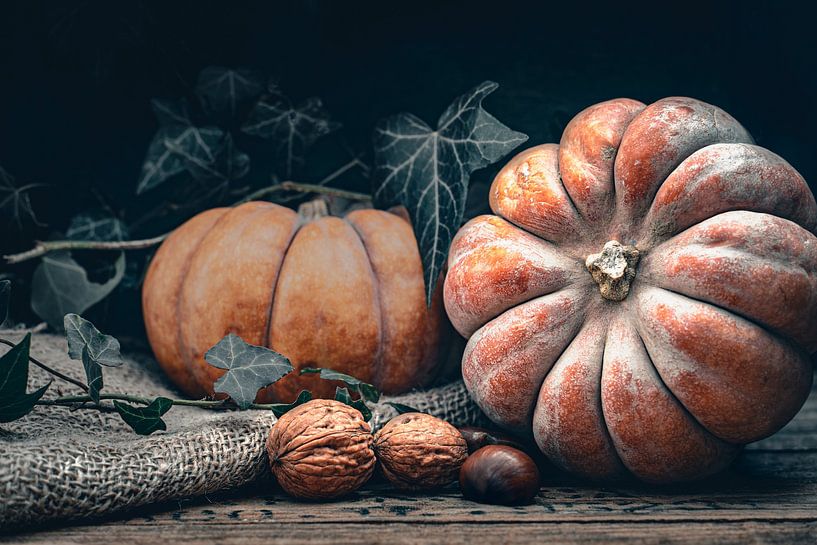 When autumn arrives by Sabine Schemken