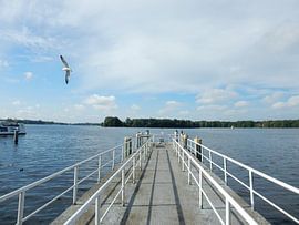 Am Tegeler See van Christine Volpert