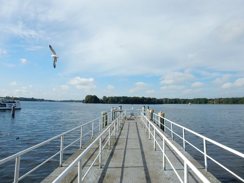 Am Tegeler See van Christine Volpert