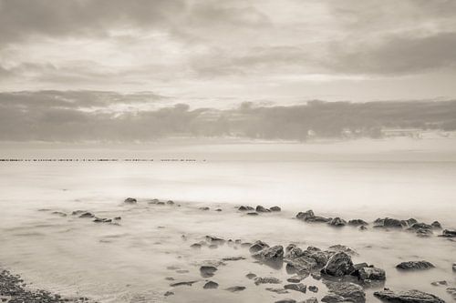 Het prachtige wad....