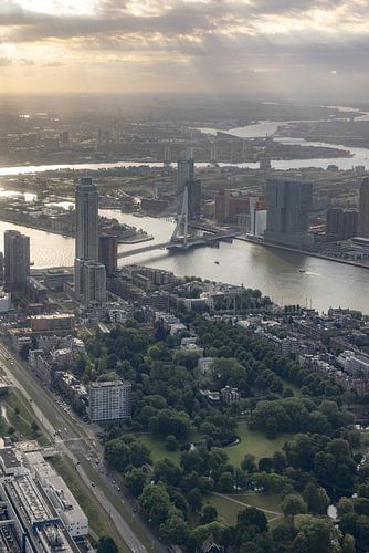 Rotterdam