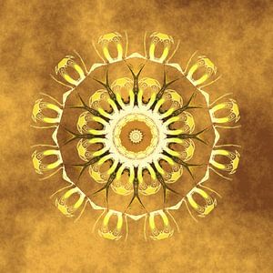 Mandala Erde