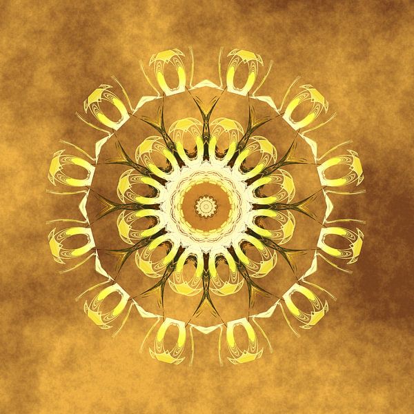 Mandala Earth by Christine Bässler