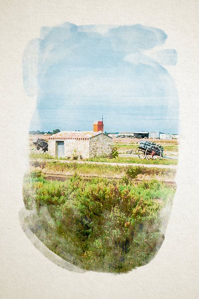 Store for salt in watercolour by Youri Mahieu