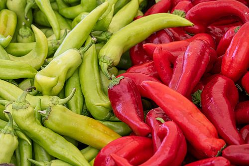 Poivrons verts et rouges pointus's