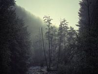 Desolation
