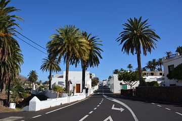 Straßenszene Haria, Tal der 1000 Palmen Lanzarote von My Footprints