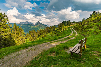 Wanderpfad in Vorarlberg