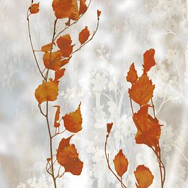 Sanfte, romantische Farben 4 von Jack Schoneveld