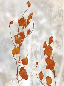 Sanfte, romantische Farben 4