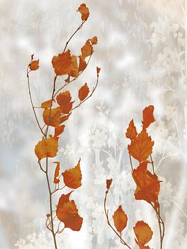 Soft Romantic Colors 4