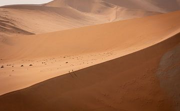 Sossusvlei, Africa (orange landscape) by Anouk Kooiman