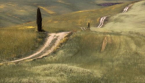 Wiederkehrende Pfade, Toskana