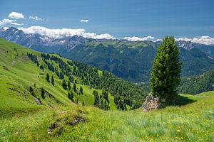 Les Dolomites sur Paul van Baardwijk