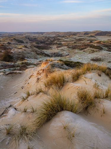 Duin in Zuid Holland