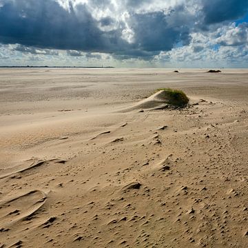 Maanlandschap op het strand van Hans Kwaspen