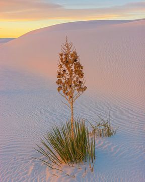 Zonsondergang in White Sands National Park van Henk Meijer Photography