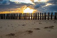Postes sur la plage de Zeeland