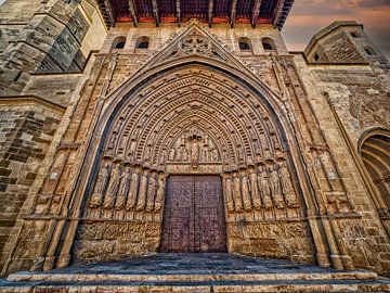 Ingang van de kathedraal van Huesca , Spanje van Luc de Zeeuw