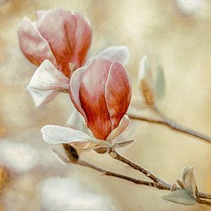 Blooming Hearts Quadrat