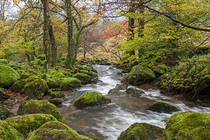 Fluss im Borrowdale-Tal Seengebiet