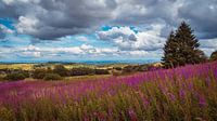 Rhön verziendheid