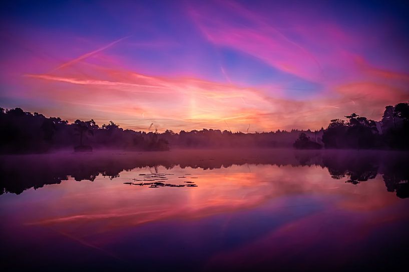 sunrise at the fens in oisterwijk by Bas Maas