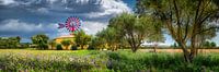 Island Mallorca with windmill and finca with olive trees