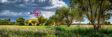 Eiland Mallorca met windmolen en finca met olijfbomen van Voss Fine Art Fotografie