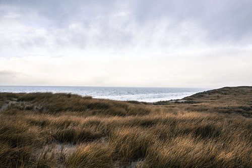 Texel Dunes