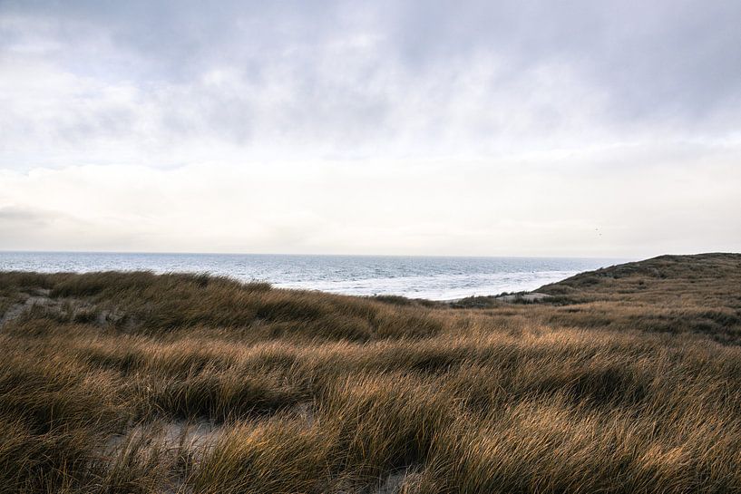 Texelse Duinen van Dixy Kracht