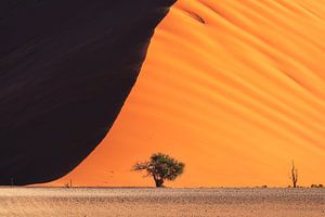 Namibia Dune 45 von Jean Claude Castor