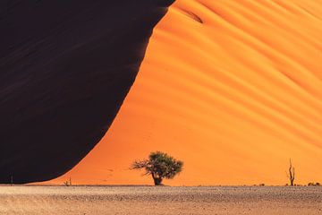 Namibie Dune 45 sur Jean Claude Castor