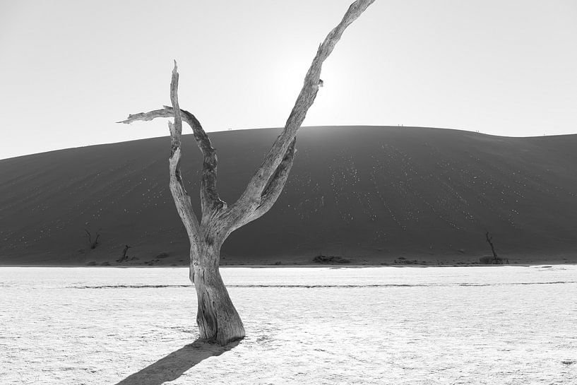 Death vlei van GoWildGoNaturepictures