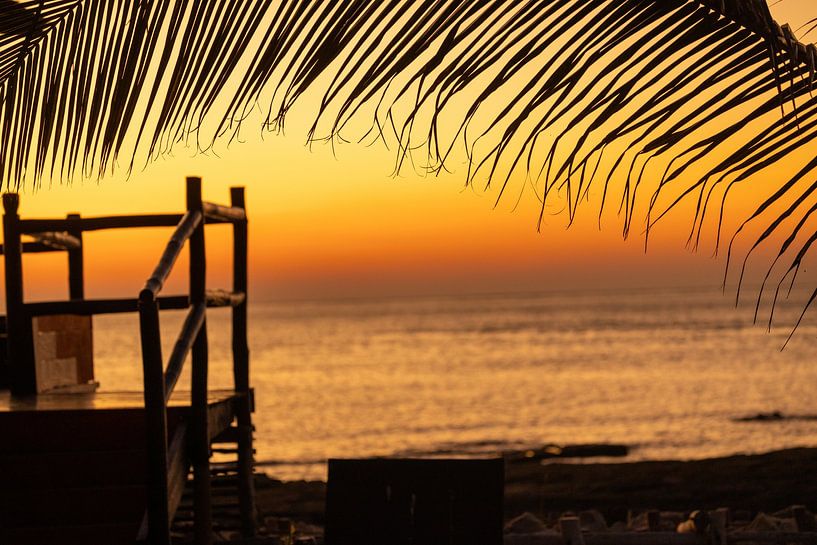Tropical sunset by William Bekkema