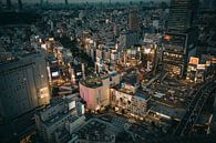 Views over Tokyo by Sascha Gorter thumbnail